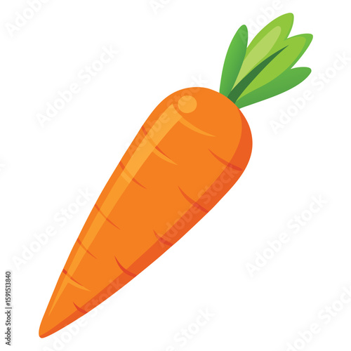 Bright raw carrot, crisp and vibrant orange, positioned on a plain white background.