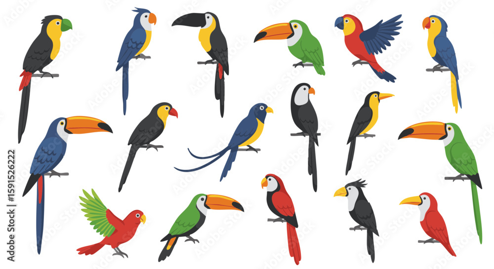 Fototapeta premium Set of 15 Flat Tropical Bird Icons Isolated on White Background