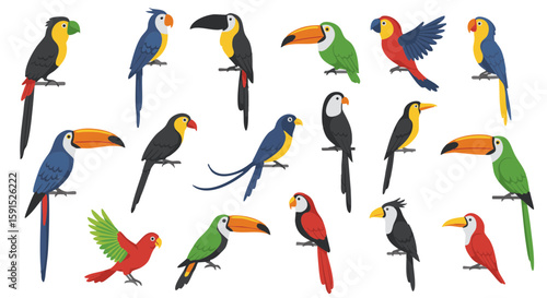 Set of 15 Flat Tropical Bird Icons Isolated on White Background