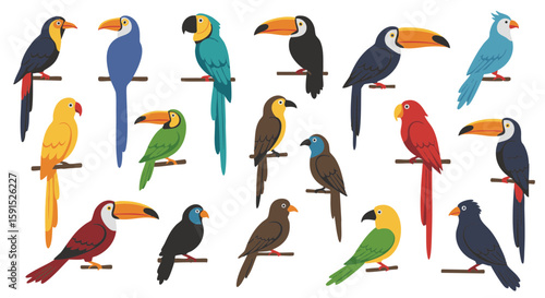 Set of 15 Flat Tropical Bird Icons Isolated on White Background
