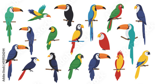 Set of 15 Flat Tropical Bird Icons Isolated on White Background