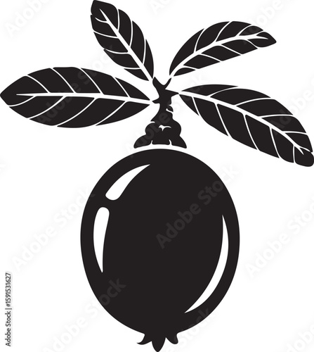 Black silhouette of a pomegranate with leaves fruit black and white