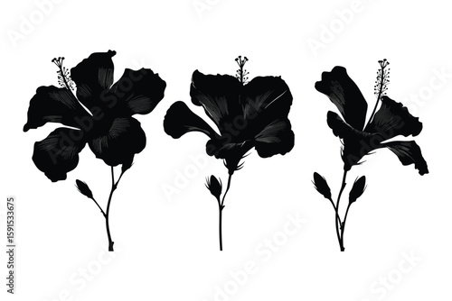 silhouette set of hibiscus tropical flowers