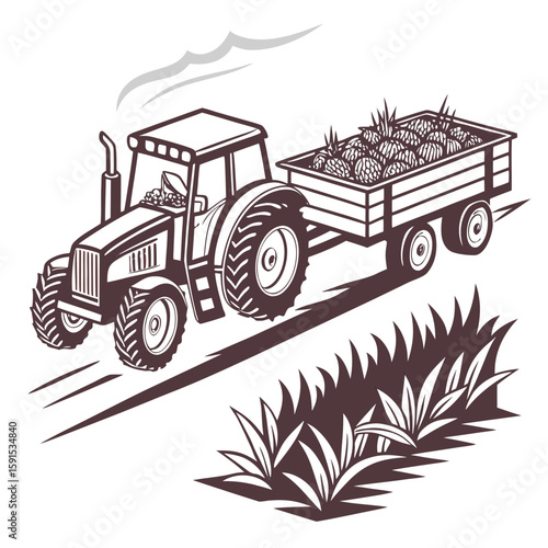 Brown tractor hauling trailer full of pineapples farming agriculture
