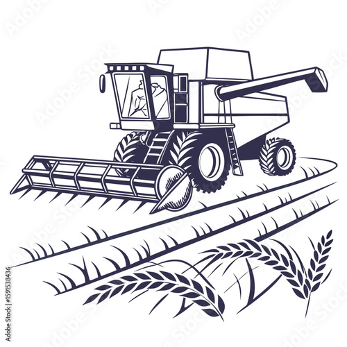 Dark blue combine harvester cutting wheat field agriculture