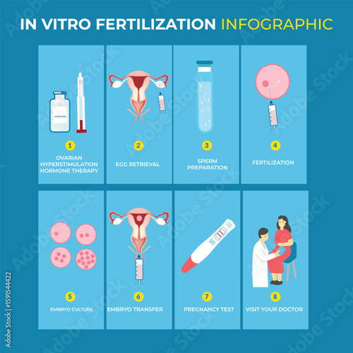 Understanding IVF A Step By Step Guide