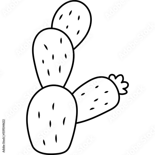 Cactus Outline
