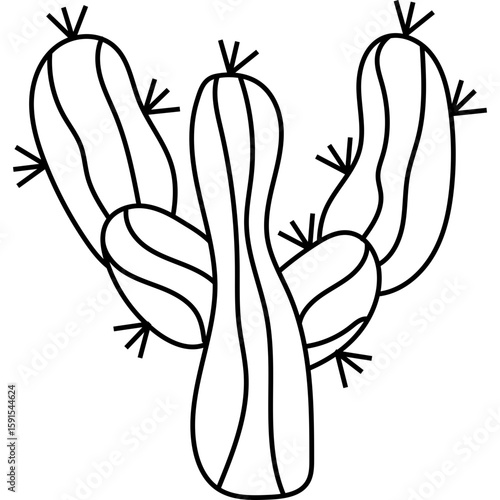 Cactus Outline
