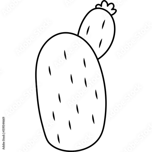 Cactus Outline
