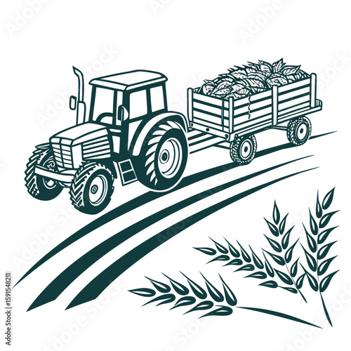 Tractor hauling harvest with wheat stalks trailer agriculture