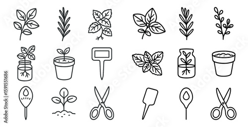 Set of plant icons, including a pair of scissors, a pair of pruning shears, a trowel, a watering can, and a plant pot