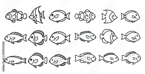 Series of fish in black and white. The fish are all different sizes and shapes. Some are small and round, while others are long and skinny. The fish are arranged in a row