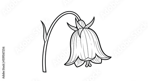 Serene Bellflower on Thin Stem Adult Stress Relief Coloring Sheet Botanical Art