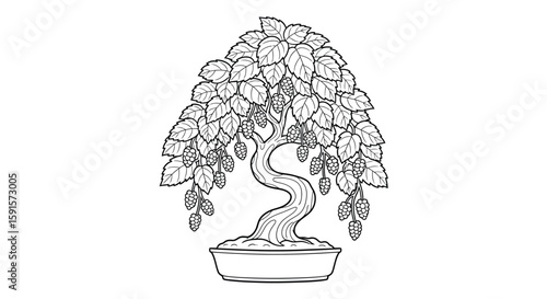 Mulberry Bonsai Tree with Drooping Branches Detailed Adult Coloring Horticultural Design