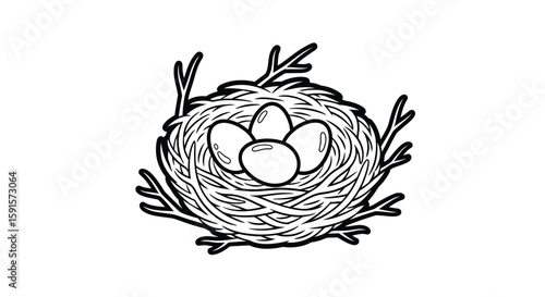 Nest with Eggs Spring Season Adult Coloring Page Detailed Nature Scene