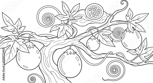 Passionfruit Bonsai Tree in Curved Pot Detailed Adult Coloring Horticultural Art