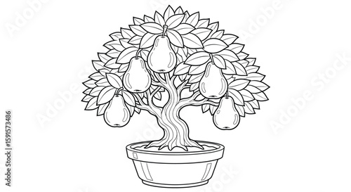 Pear Bonsai Tree with Broad Leaves Detailed Adult Coloring Horticultural Art
