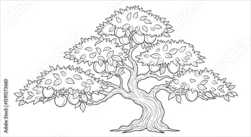 Plum Bonsai Tree with Balanced Canopy Adult Coloring Page Botanical Illustration Art