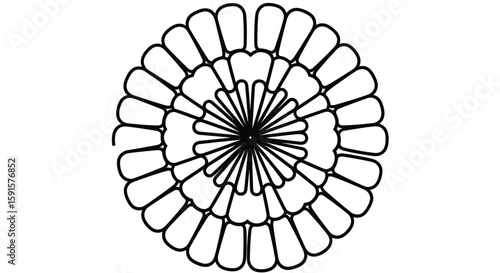 Intricate Symmetrical Mandala Radial Lines Adult Coloring Page Meditative Relaxation