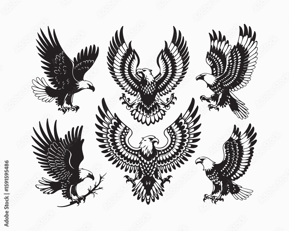 Fototapeta premium Collection of six black and white eagle illustrations in various poses on a white background