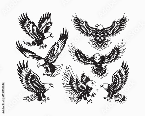 Collection of detailed black and white eagle illustrations on a white background design element