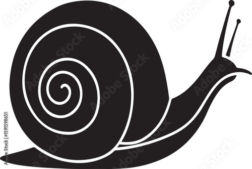 Black and white snail illustration featuring a stylized detailed shell with antennae
