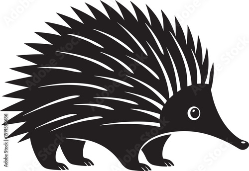 Black and white vector illustration of a detailed and cute echidna animal design
