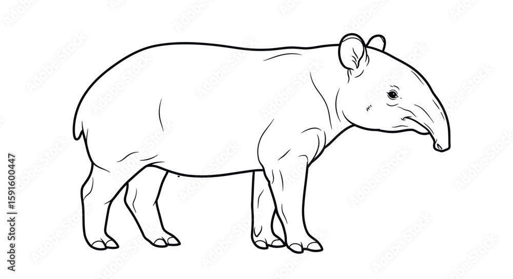Fototapeta premium Unique Malayan Tapir Side Profile Adult Coloring Page Wildlife Nature Exploration