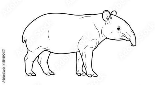 Unique Malayan Tapir Side Profile Adult Coloring Page Wildlife Nature Exploration