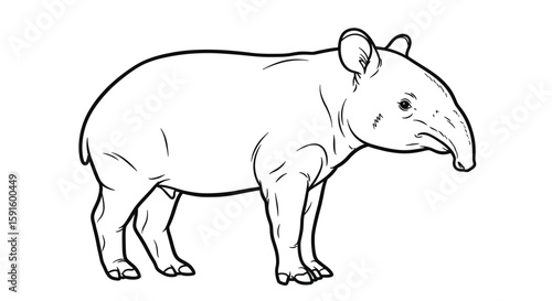 Malayan Tapir Side Profile Detailed Coloring Page for Adults Wildlife Animal Art