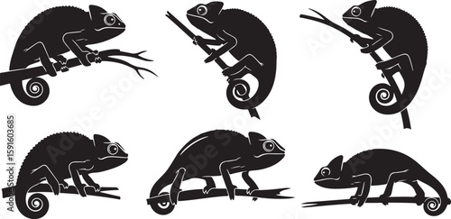 Vector art of set of chameleon silhouettes on branches isolated on white background
