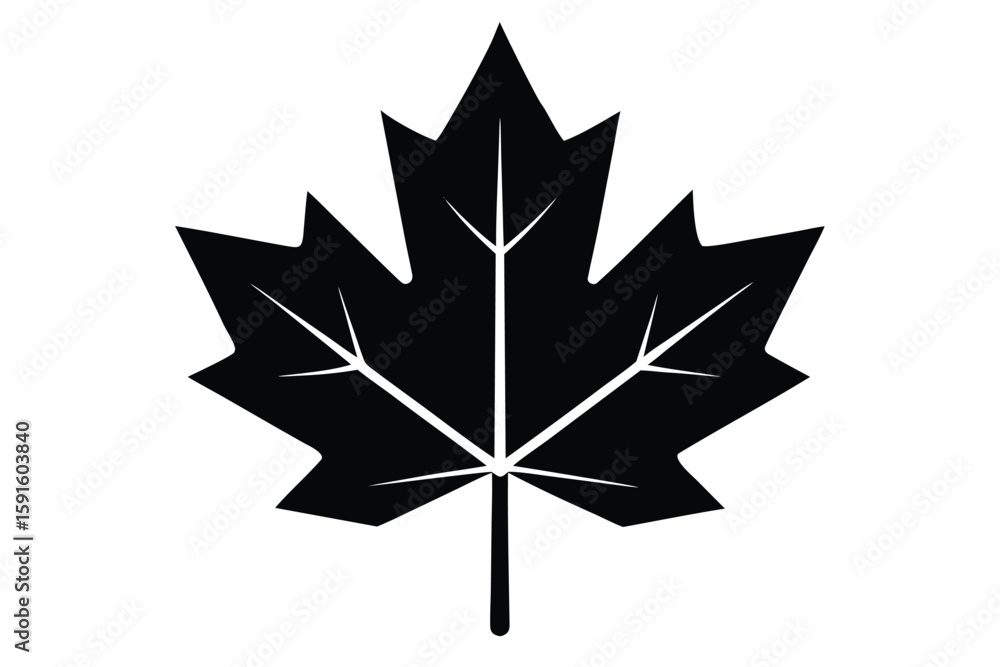 Obraz premium maple leaf vector icon