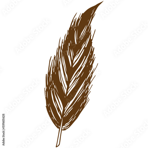 golden feather isolated on white