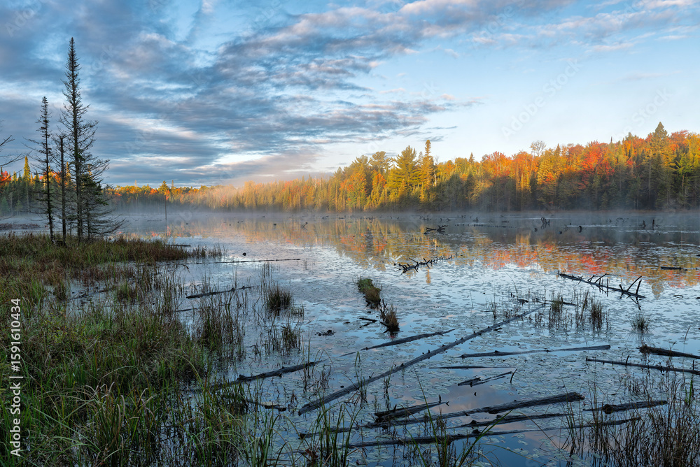 Fototapeta premium lake in the autumn