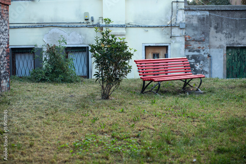 A solitary pink bench beside a quiet bush in a small Venetian park a silent witness to time