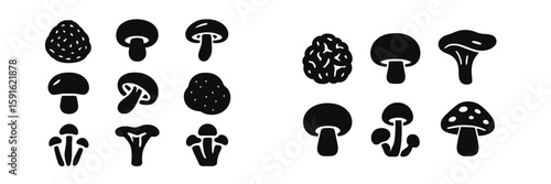 Various types of black and white mushroom illustrations showcasing unique shapes and sizes