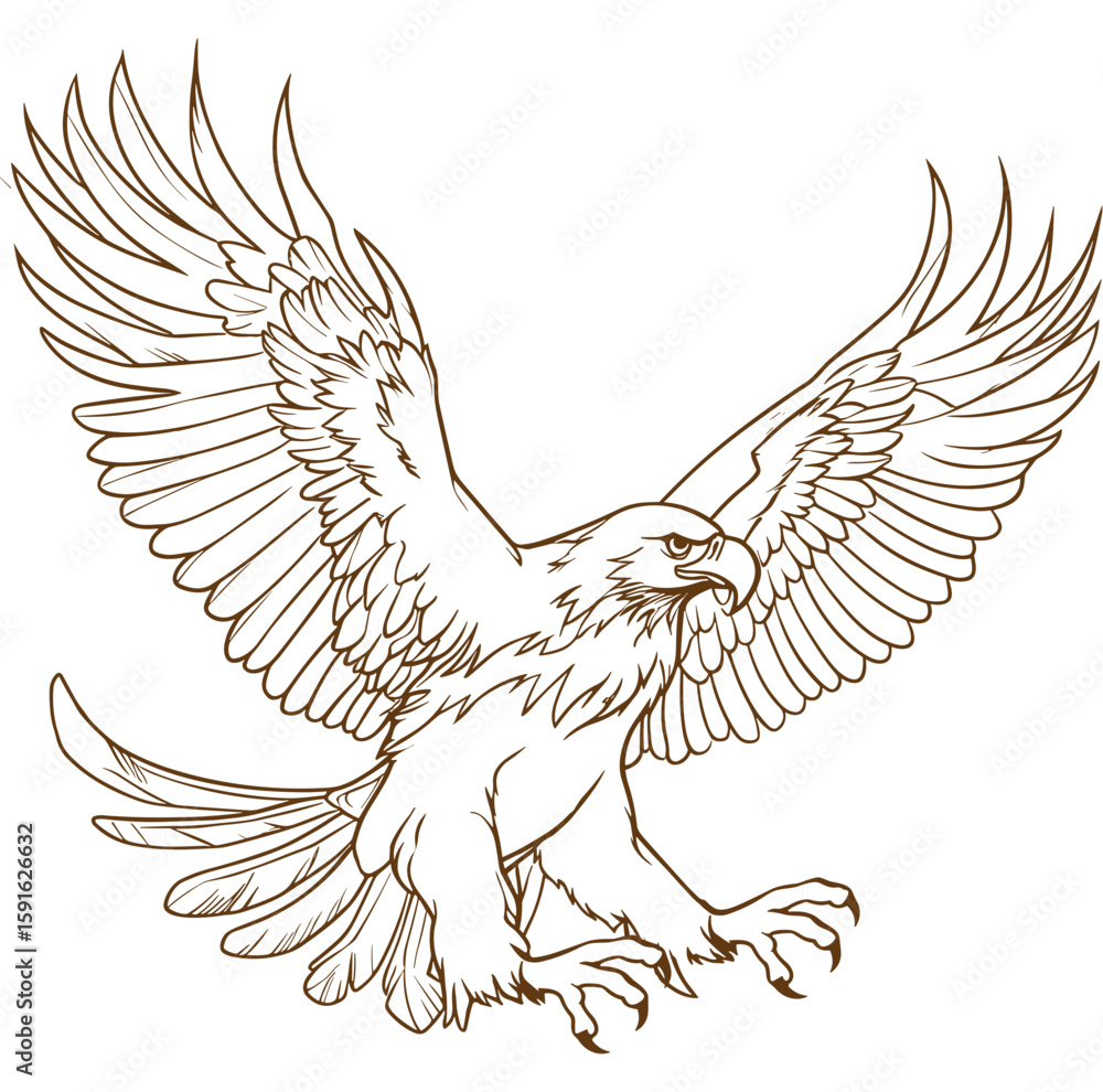 Obraz premium eagle vector illustration