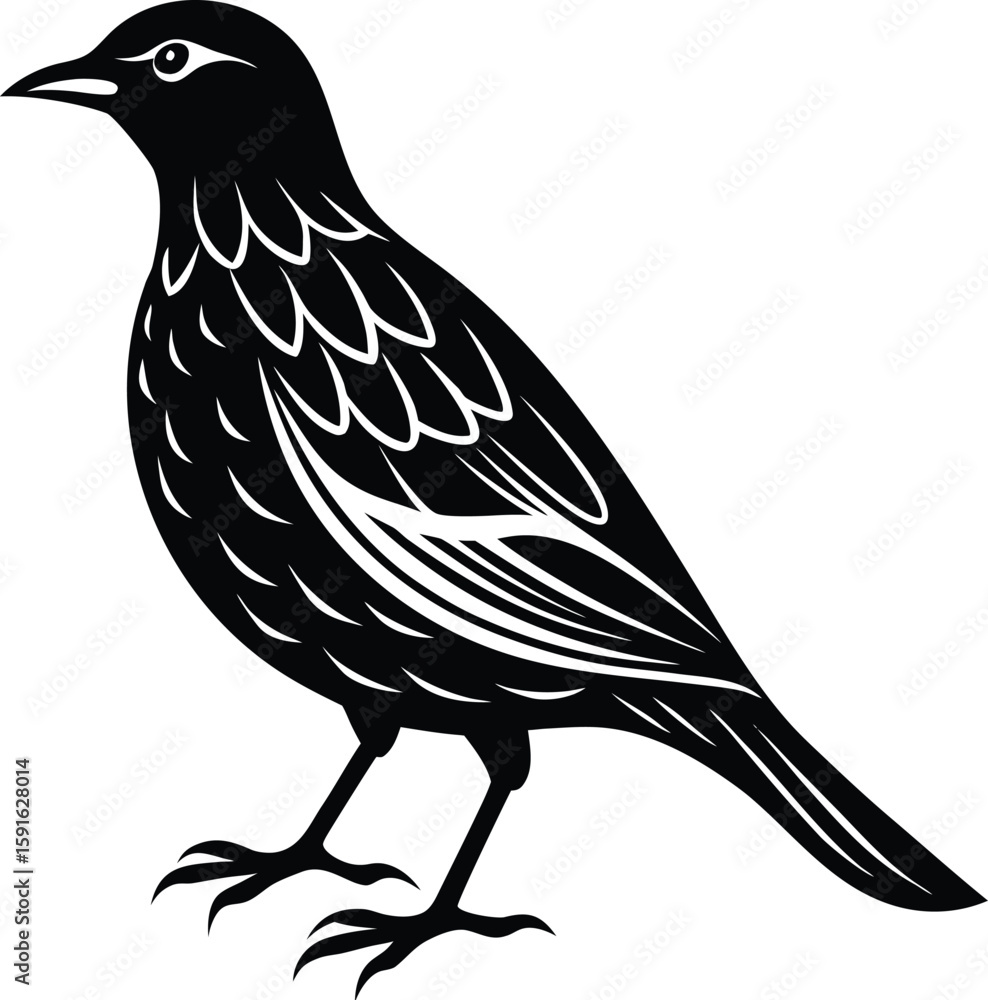 Fototapeta premium Elegant Weaver Bird Silhouette Icon.