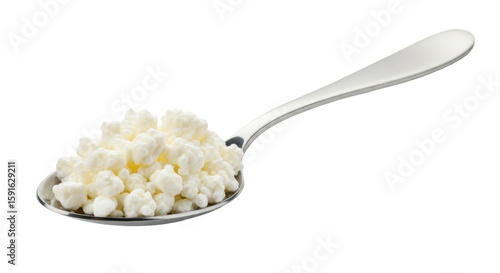 Isolated Cottage Cheese in Spoon