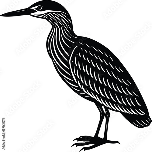 Minimalist Bittern Bird Silhouette Vector Art.