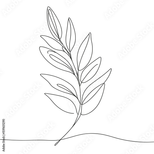 Single continuous line drawing of a willow leaf in minimal style  