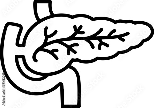 Minimalist pancreas icon. A simple vector graphic for medical textbooks, hospital diagrams, and educational content about human organs