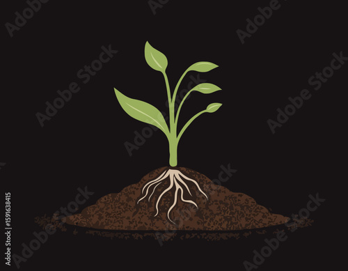 Minimalist Line Art of a Seedling Sprouting from Soil
