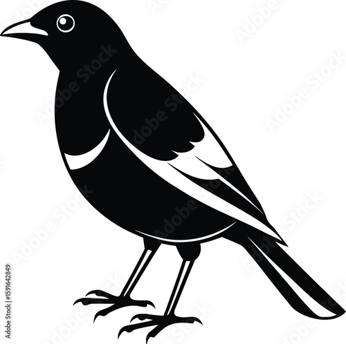 Single Myna Bird Silhouette Icon Design.