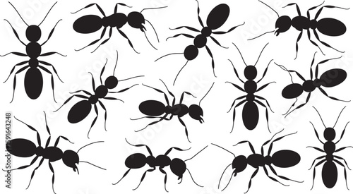 A stark white backdrop hosts a swarm of dark ant silhouettes, creating a compelling pattern, graphic, and design.