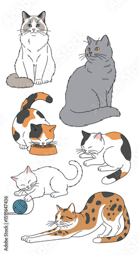 A charming collection of diverse feline companions posed in various adorable styles