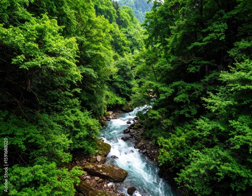 Lush green forest canyon with a rushing stream