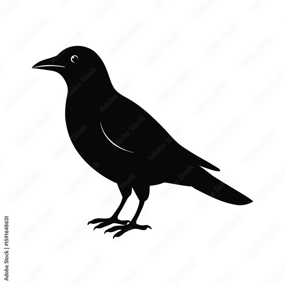 Obraz premium A bowerbird silhouette vector illustration.