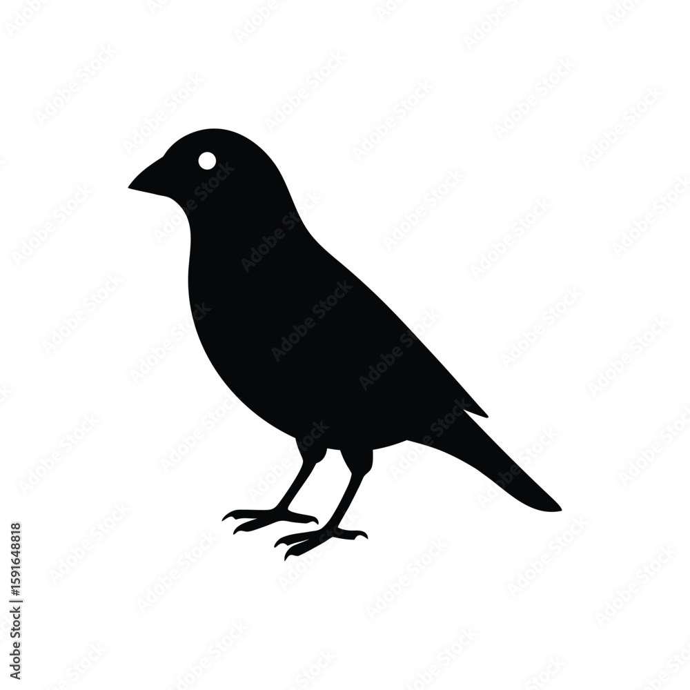 Fototapeta premium A crossbill bird silhouette vector illustration.