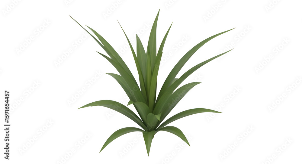 Naklejka premium Isolated Green Plant with Long, Pointed Leaves on White Background